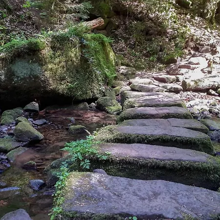 Διαμέρισμα Schwarzwald Moment Am Monbachtal Bad Liebenzell