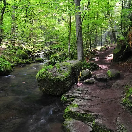 Διαμέρισμα Schwarzwald Moment Am Monbachtal